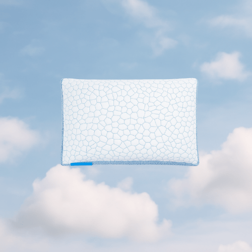 כרית ארקטיק דרימס - mydreamy