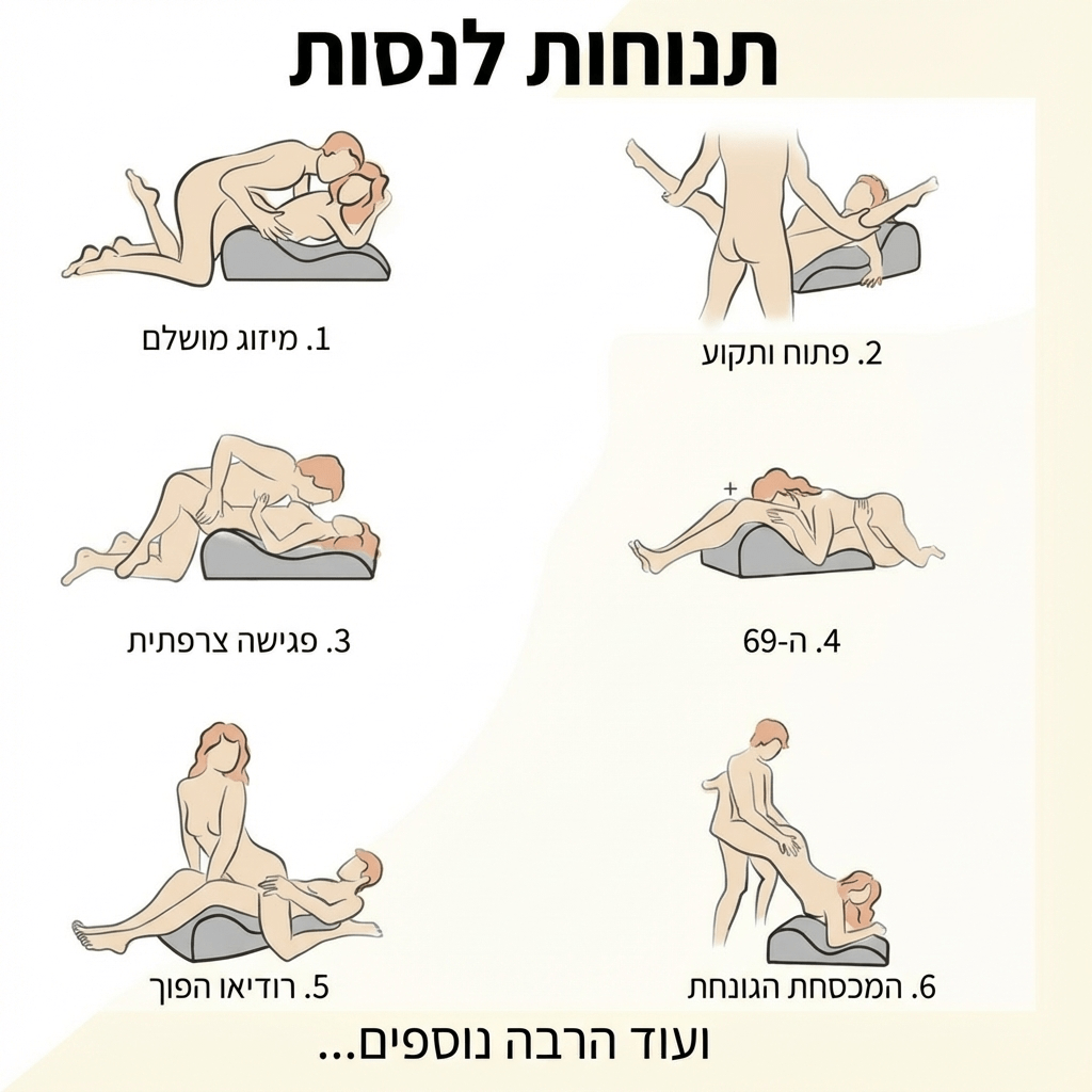 כרית ליפטי - mydreamy